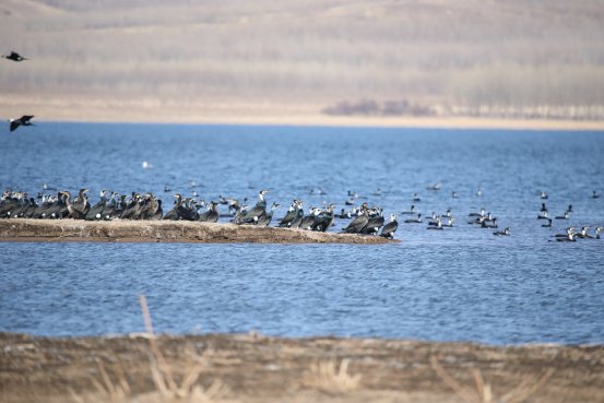 1.北京碧水源科技股份有限公司：专注于水处理及生态修复领域