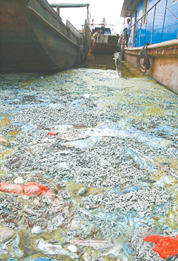 金安区生态环境分局锚定“十四五”规划收官目标