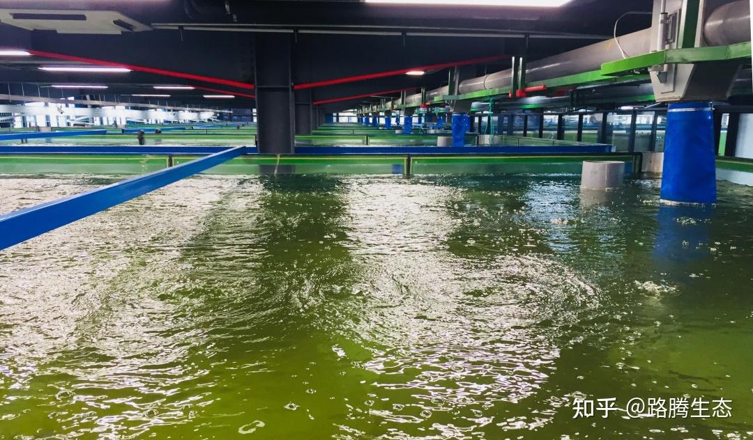 实施污染物协同治理攻坚；要聚焦环保基础设施