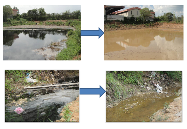 为美丽衡水建设筑牢了坚不可摧的生态根基